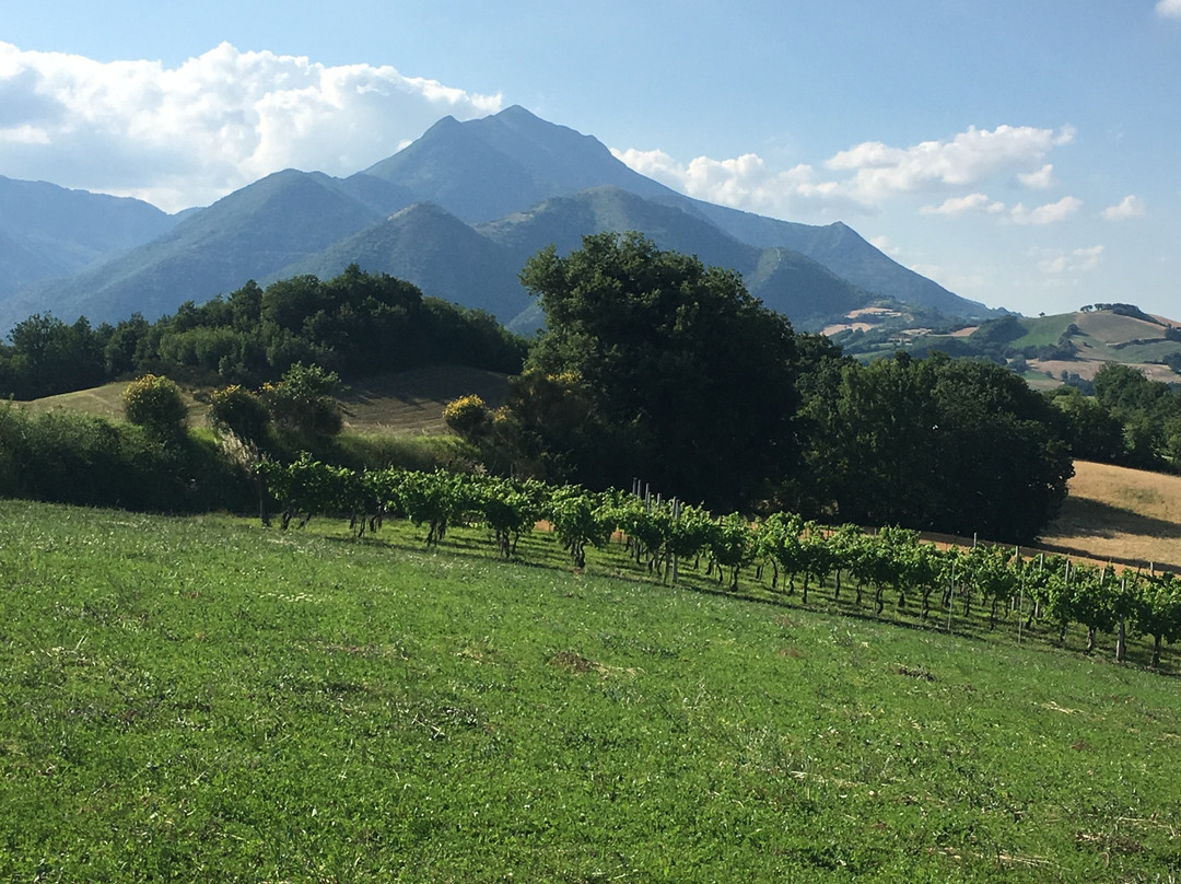 Le Perelle Agriturismo主图