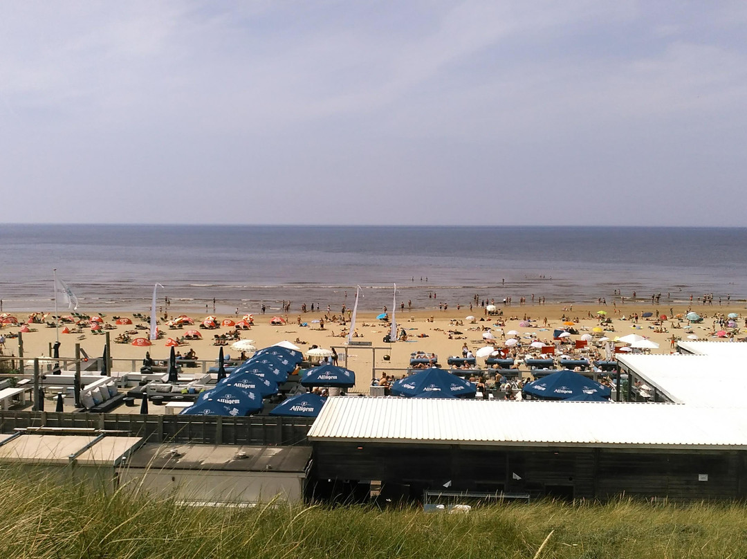 Strand Bloemendaal Aan Zee景点图片