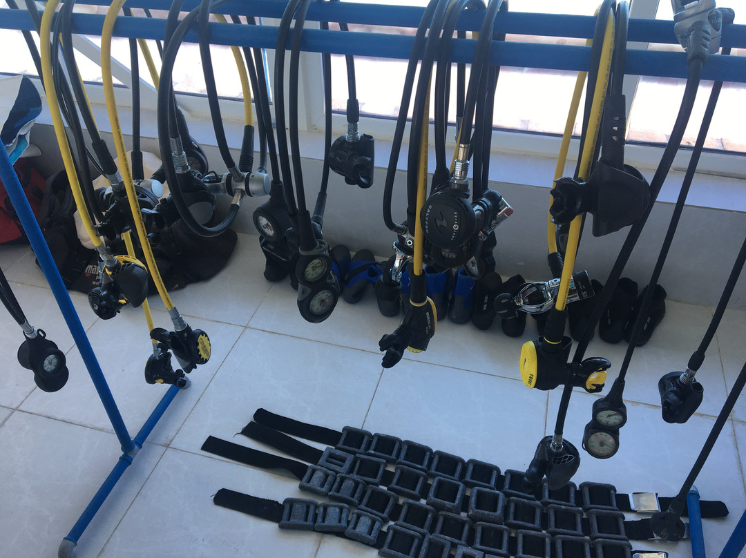 مدرسه غواصی مرکزی-Bushehr必去景点