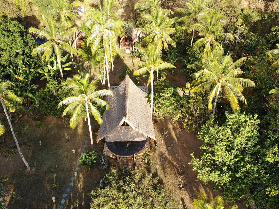 Papalagi Resort主图