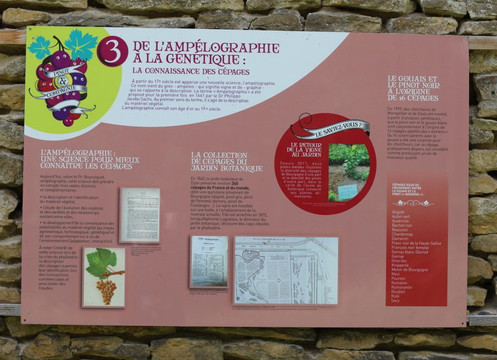 Château Pontus de Tyard-Germagny必去景点