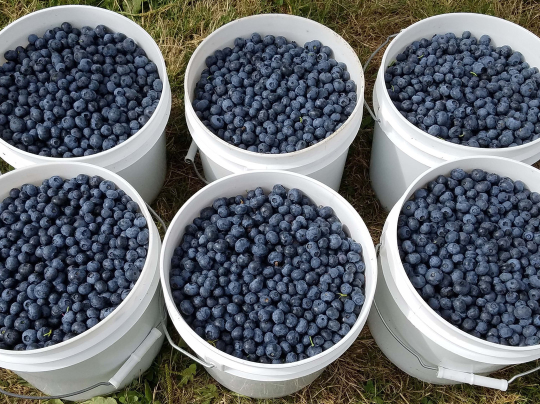 Morning Shade Farm-Canby必去景点