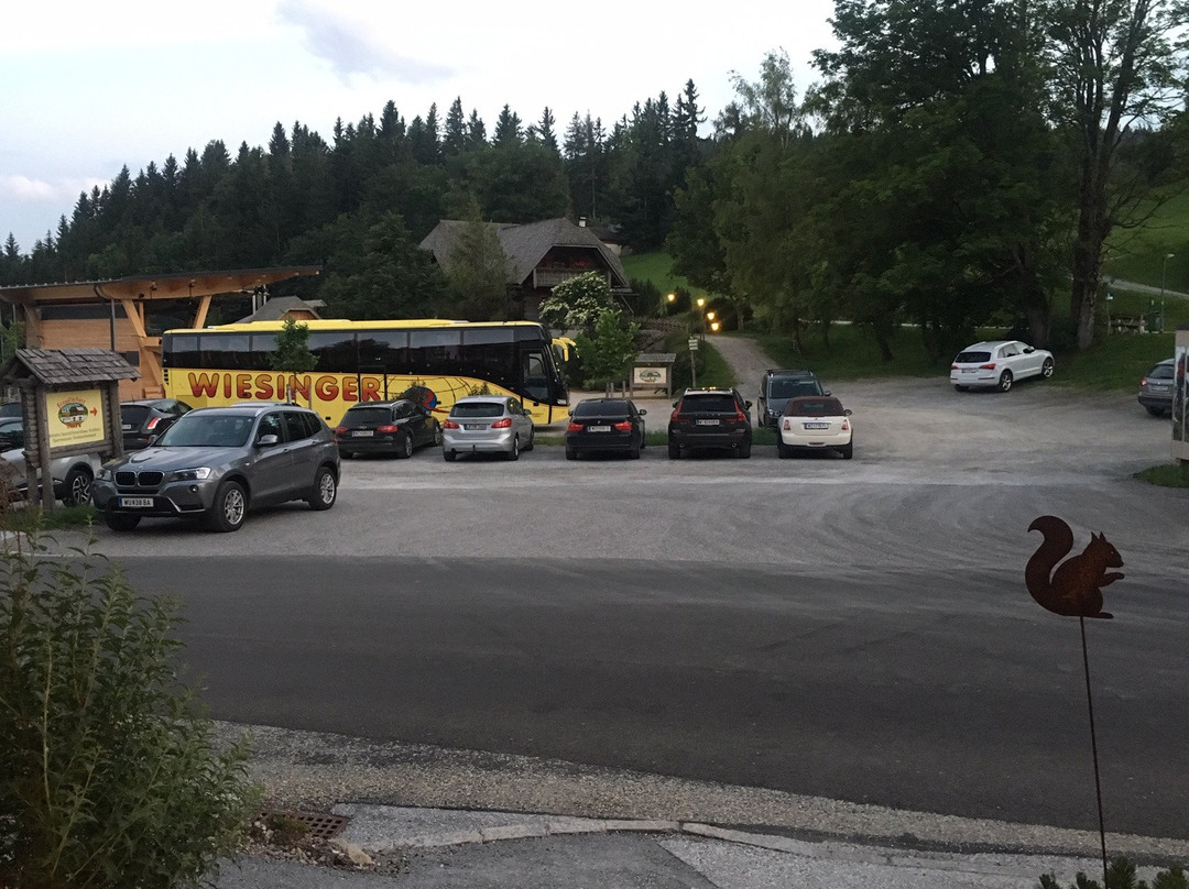 Naturhotel Bauernhofer主图