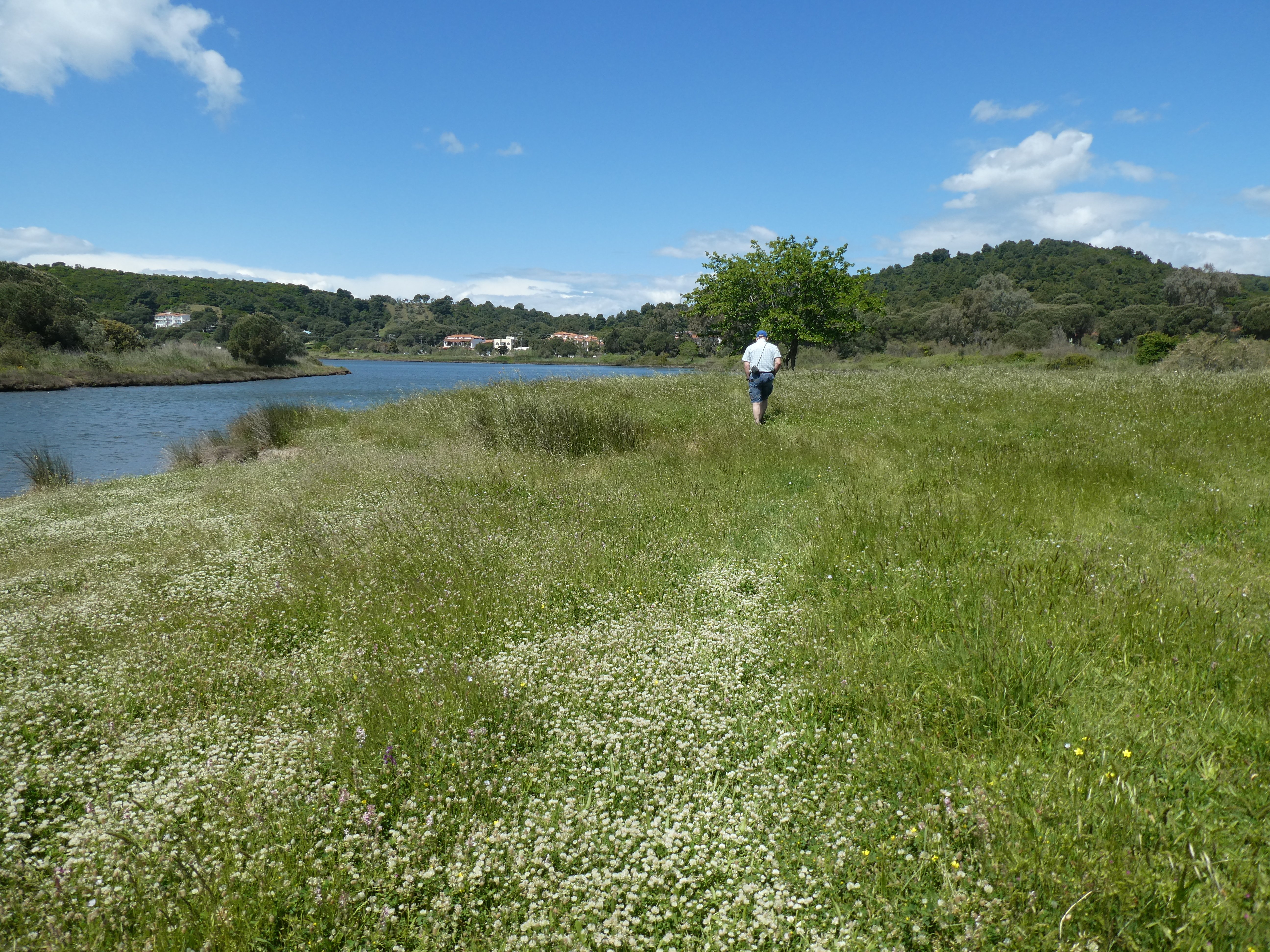 Golden Beach Hotel-官方