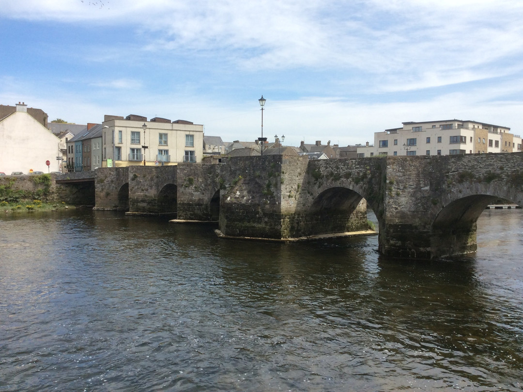 Old Bridge-Carrick-on-Suir必去景点
