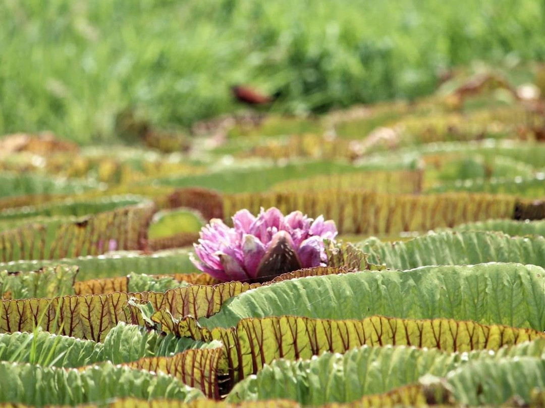 Alter Beach Turismo-Alter do Chao必去景点