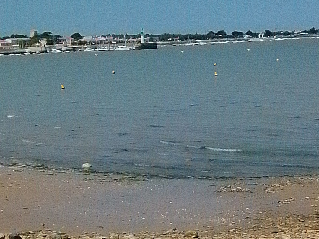 Plage de l'Arnerault景点图片