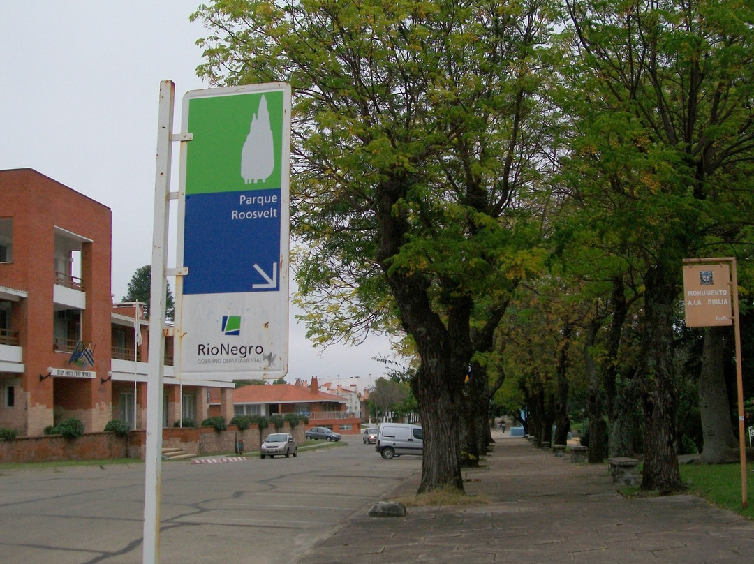 Parque Roosevelt-弗赖本托斯必去景点