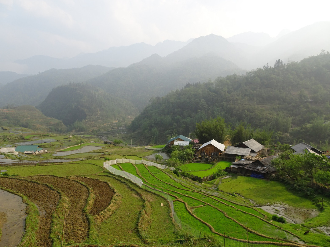 Terraced Rice Fields in Shin Chai Village景点图片