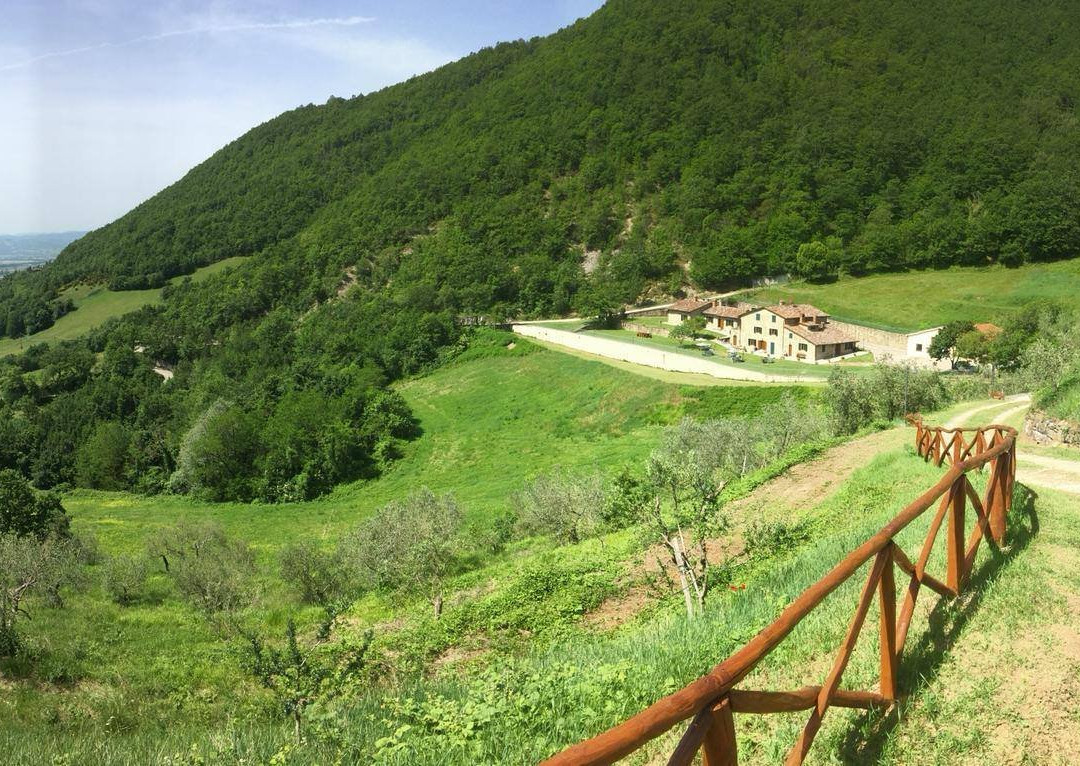 Il Castiglione Agriturismo Bio主图