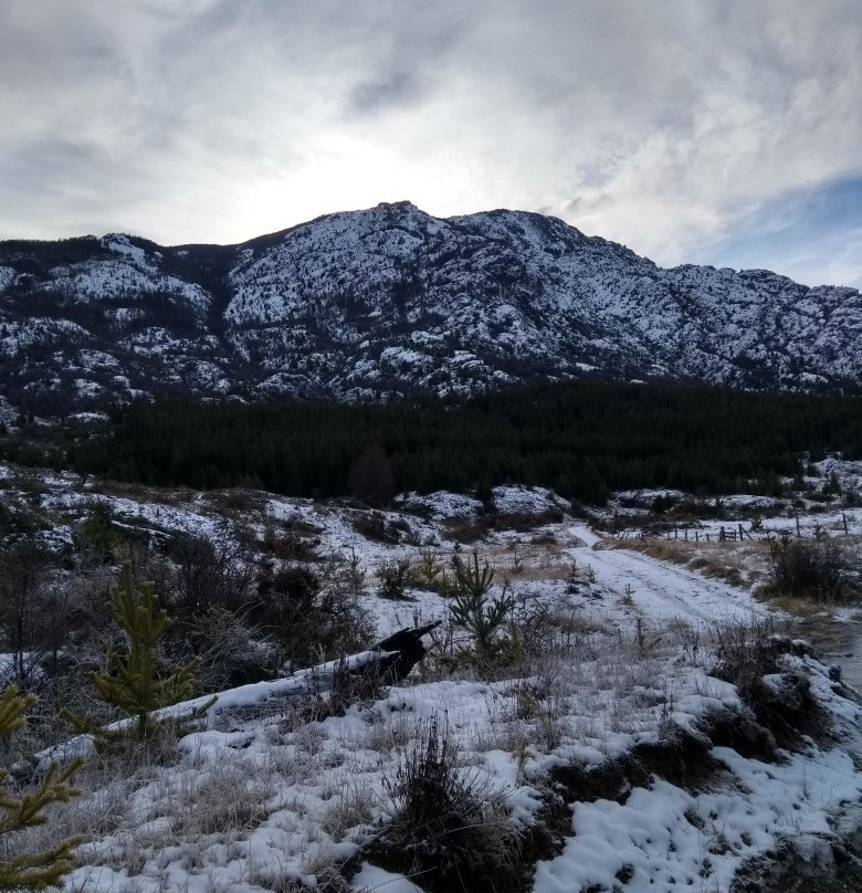 Reserva Nacional Lago Cochrane o Tamango景点图片