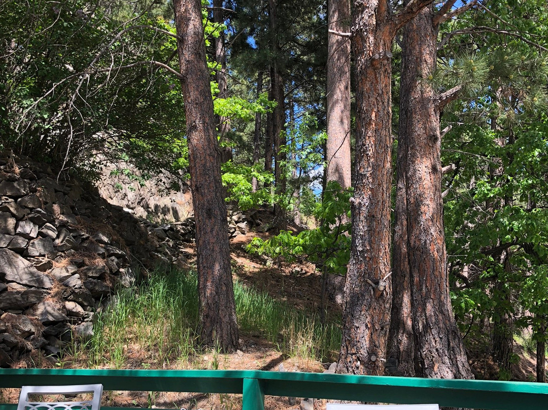 Battle Creek Lodge主图