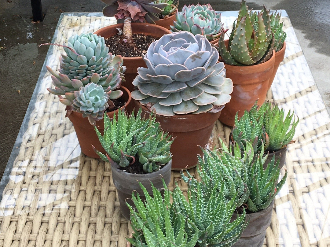 Roger Williams Park-普罗维登斯必去景点