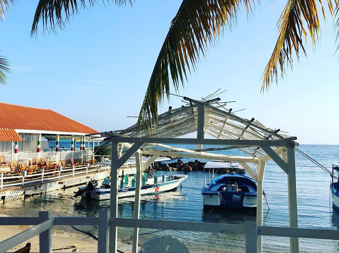 Franklyn D Resort & Spa主图