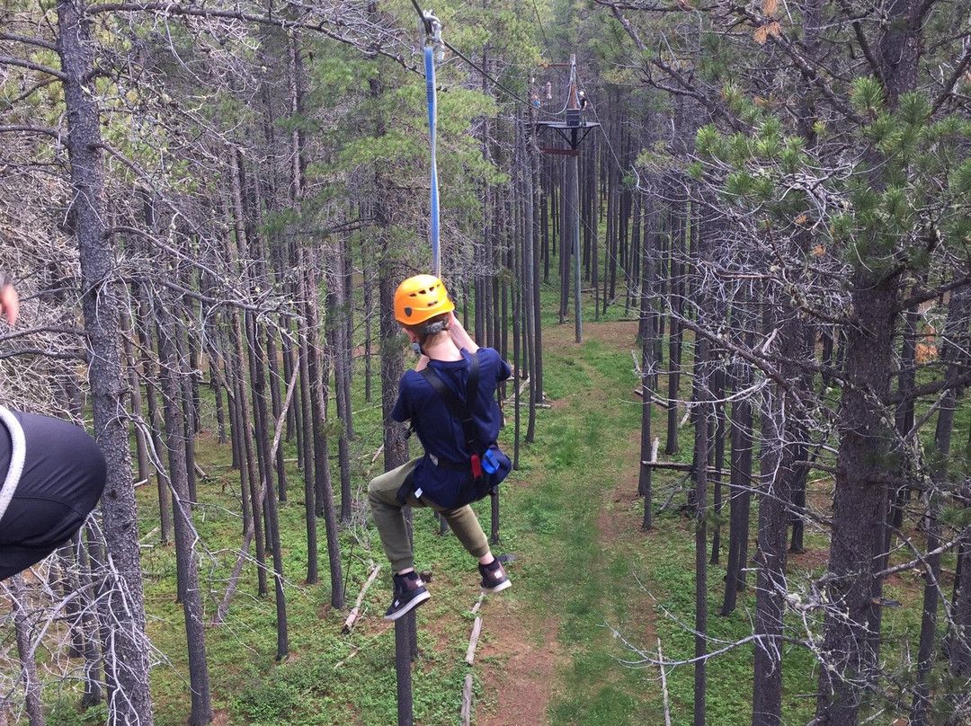 Treeosix Adventure Parks-Maple Creek必去景点