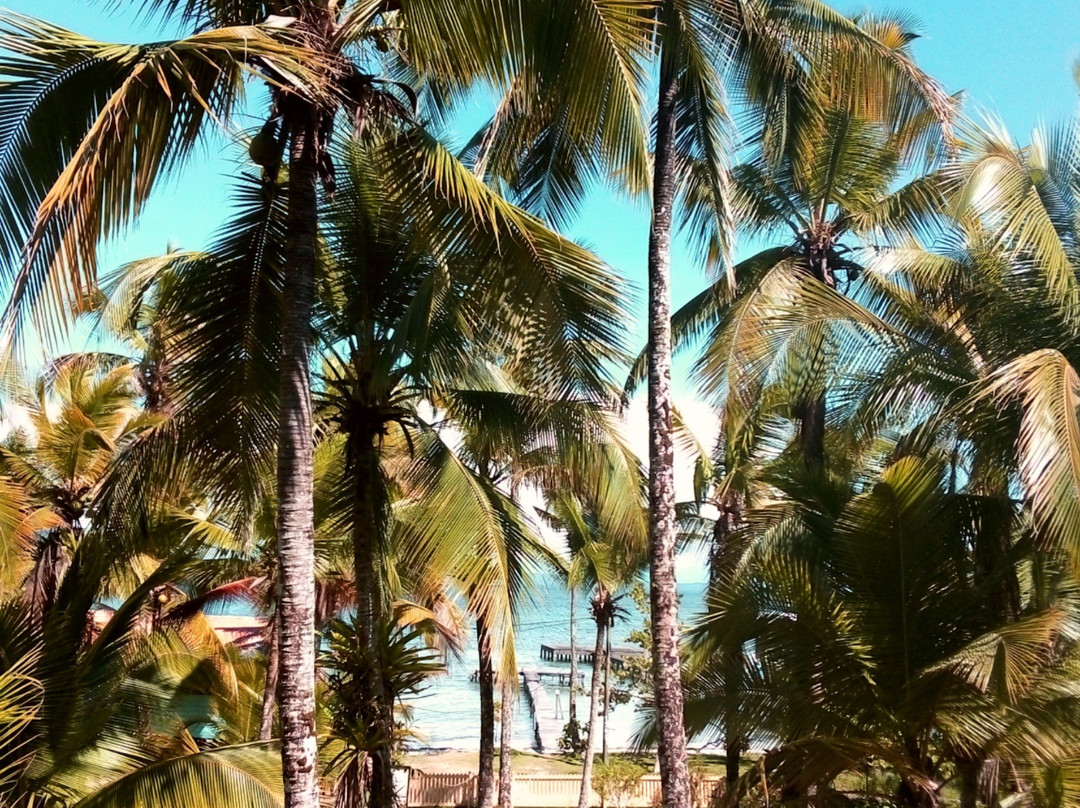 Hotel Tierra Verde主图