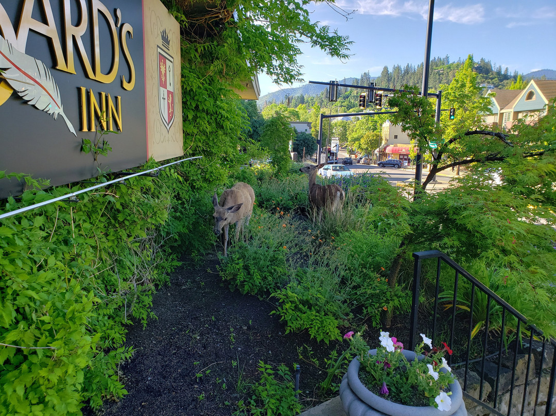 The Bard's Inn, BW Signature Collection主图