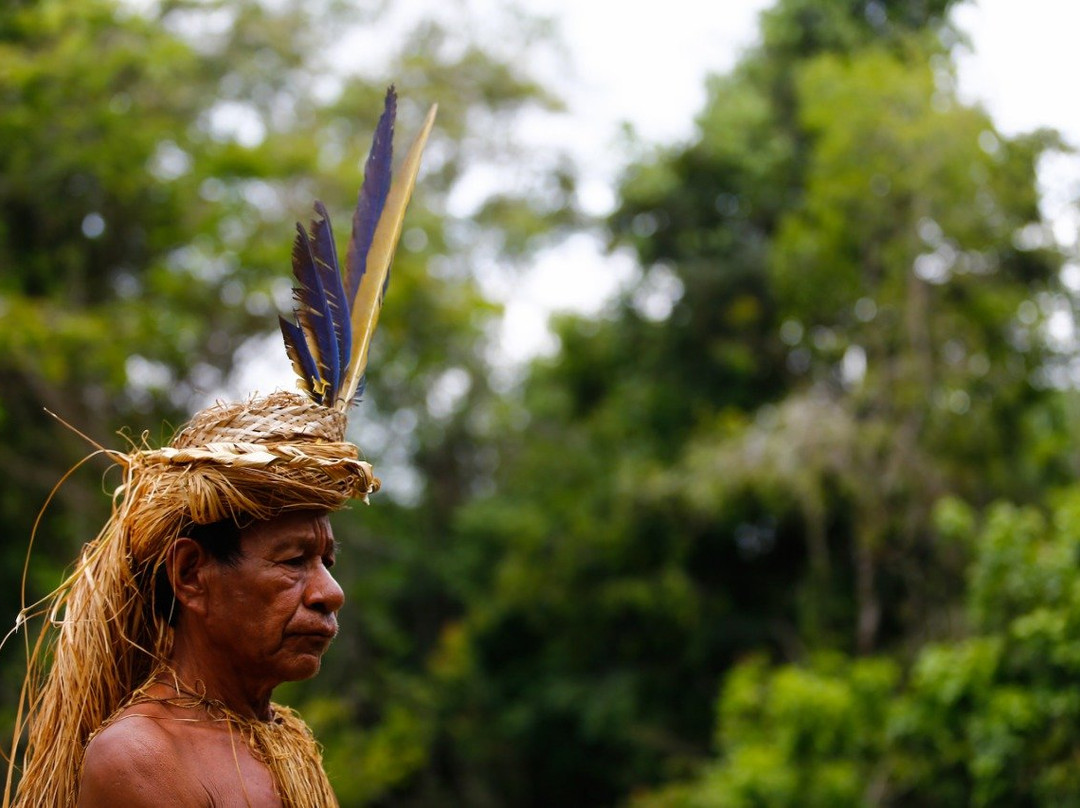 Amazon Reise Eco Lodge主图