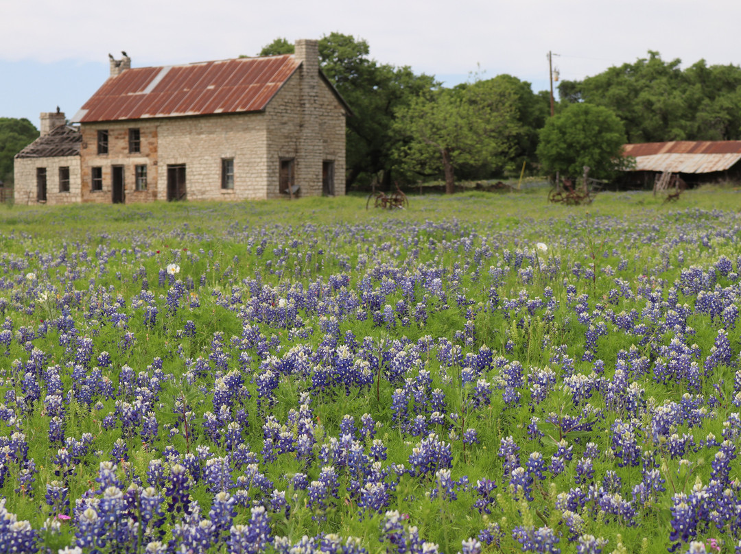 The Bluebonnet House-Burnet必去景点