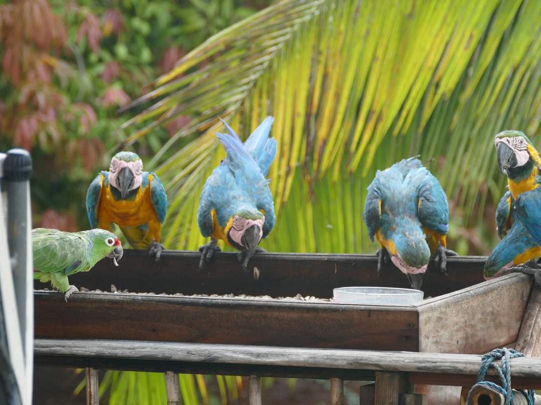 Hacienda del Mar主图