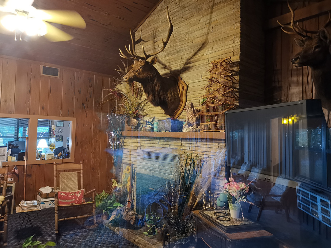 Lake Ouachita Shores Resort主图