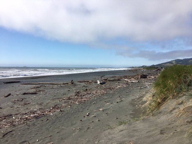 Pacific Reef Hotel主图