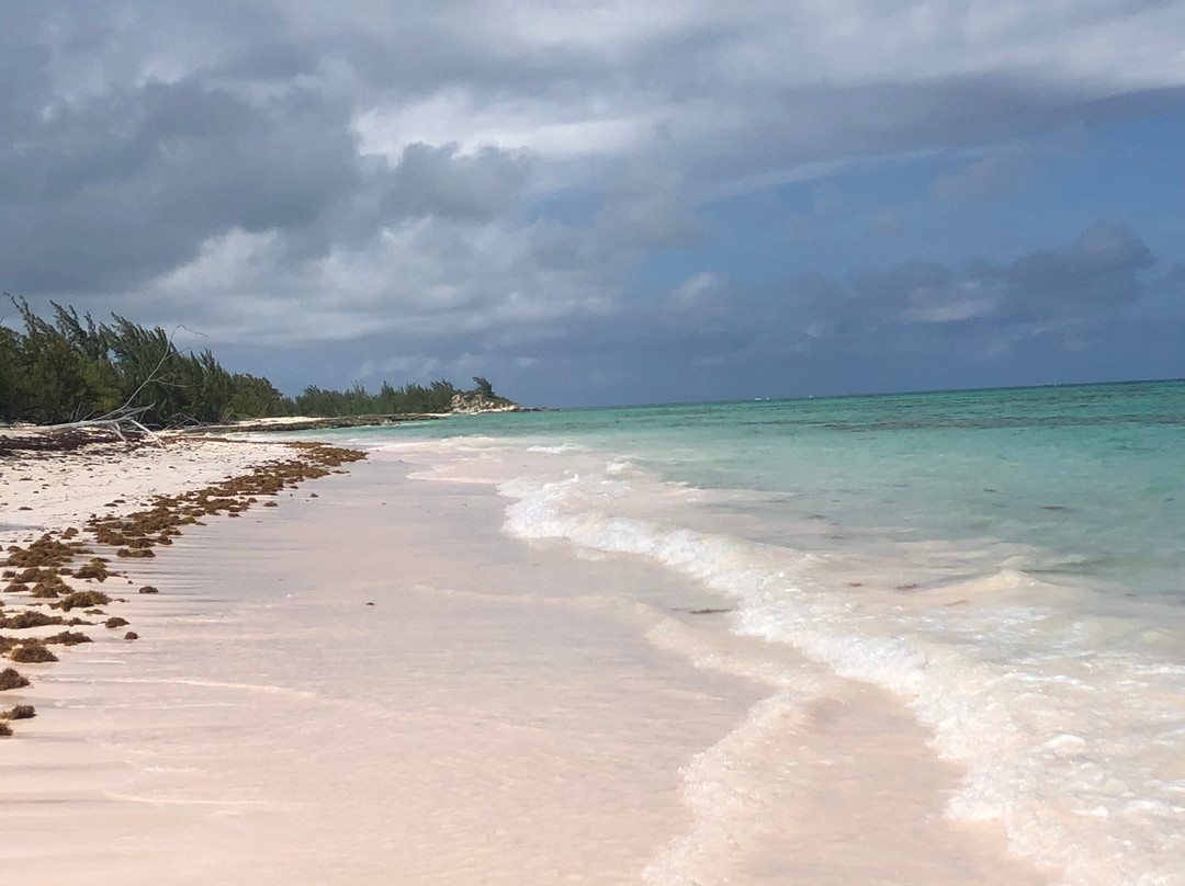Whiteland Beach景点图片