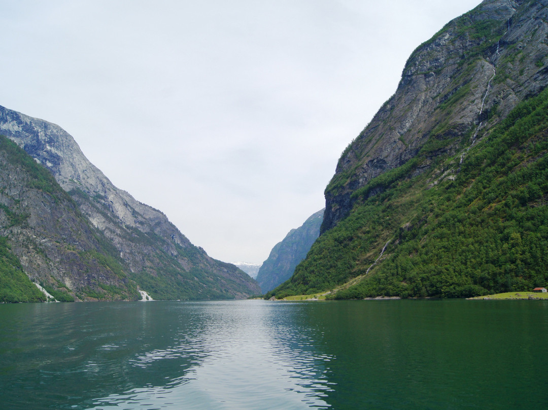 Norwegian Fjord Voyage AS-Gudvangen必去景点