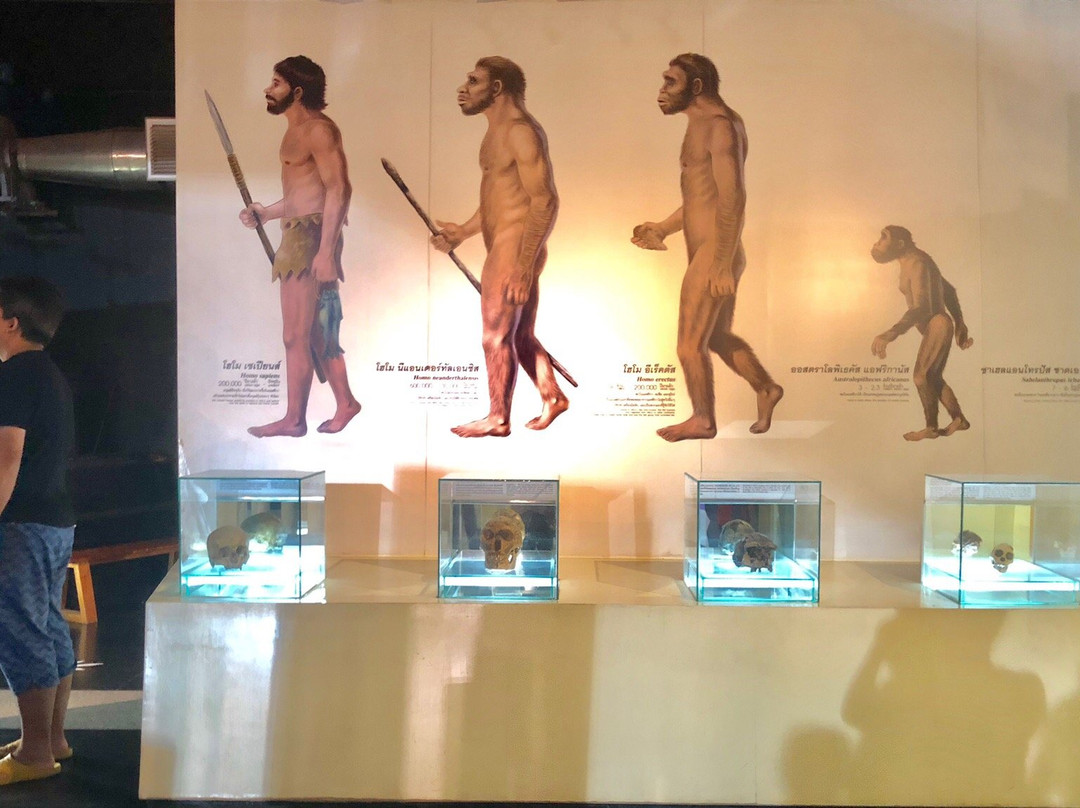 Sirindhorn Museum and Phu Kum Khao Dinosaur Excavation Site景点图片