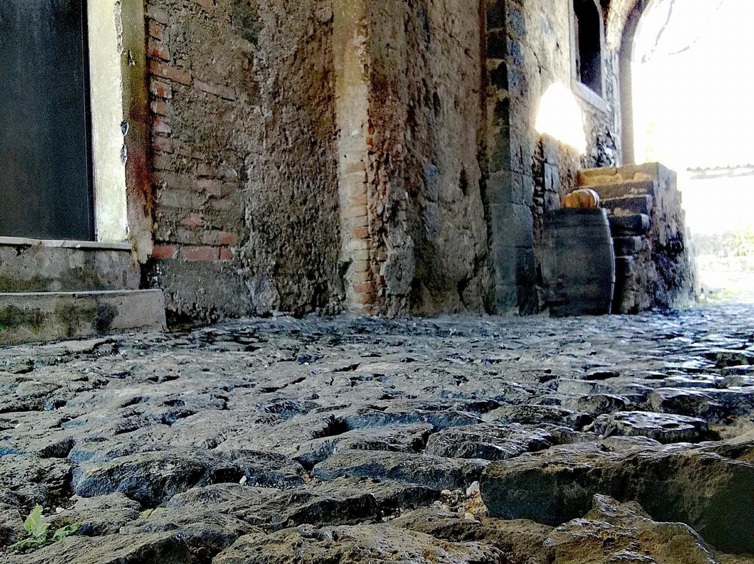 Petralava Etna B&B主图