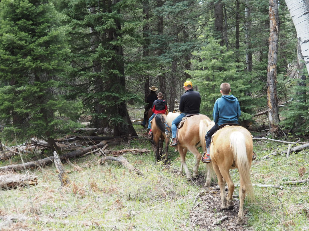 Elk Heart Outfitters-帕戈萨斯普林斯必去景点