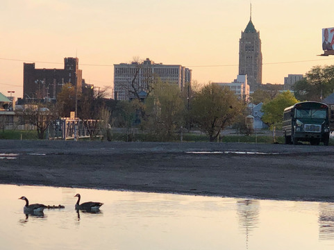 Antique Touring Company-底特律必去景点