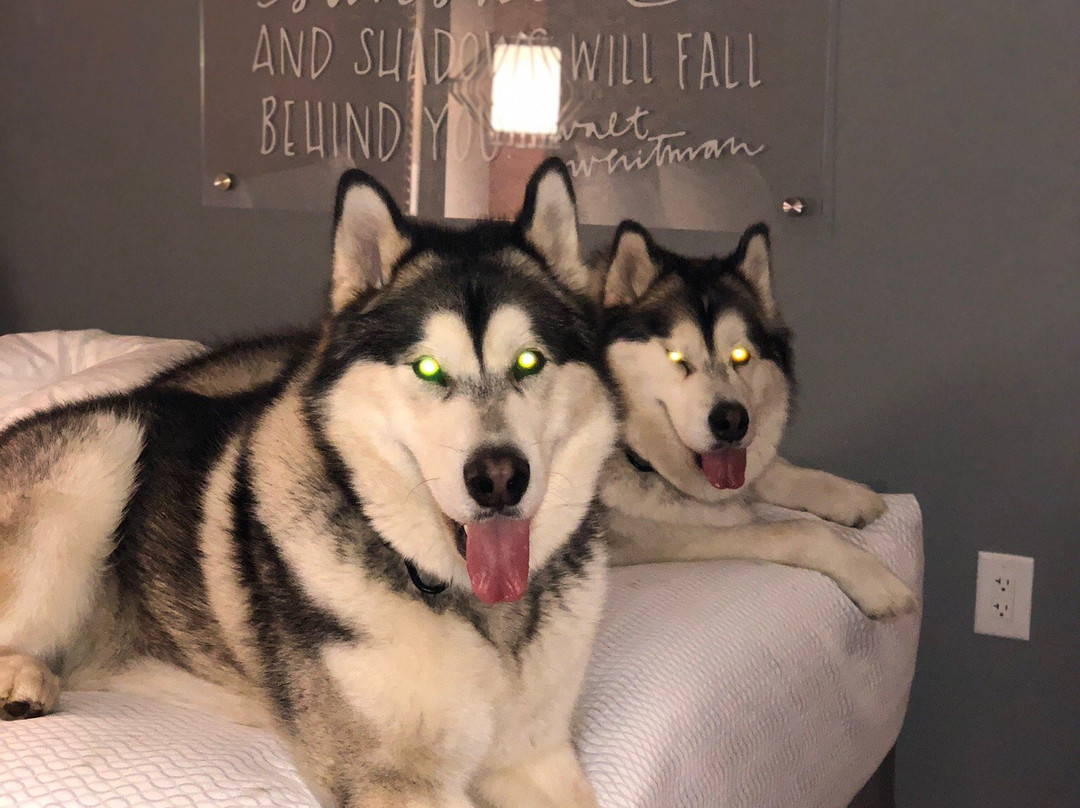 La Quinta Inn & Suites by Wyndham Perry主图