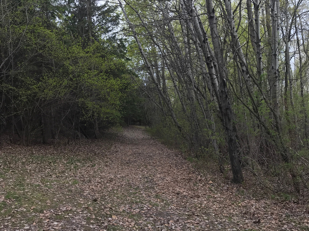 Tamarack Nature Preserve景点图片
