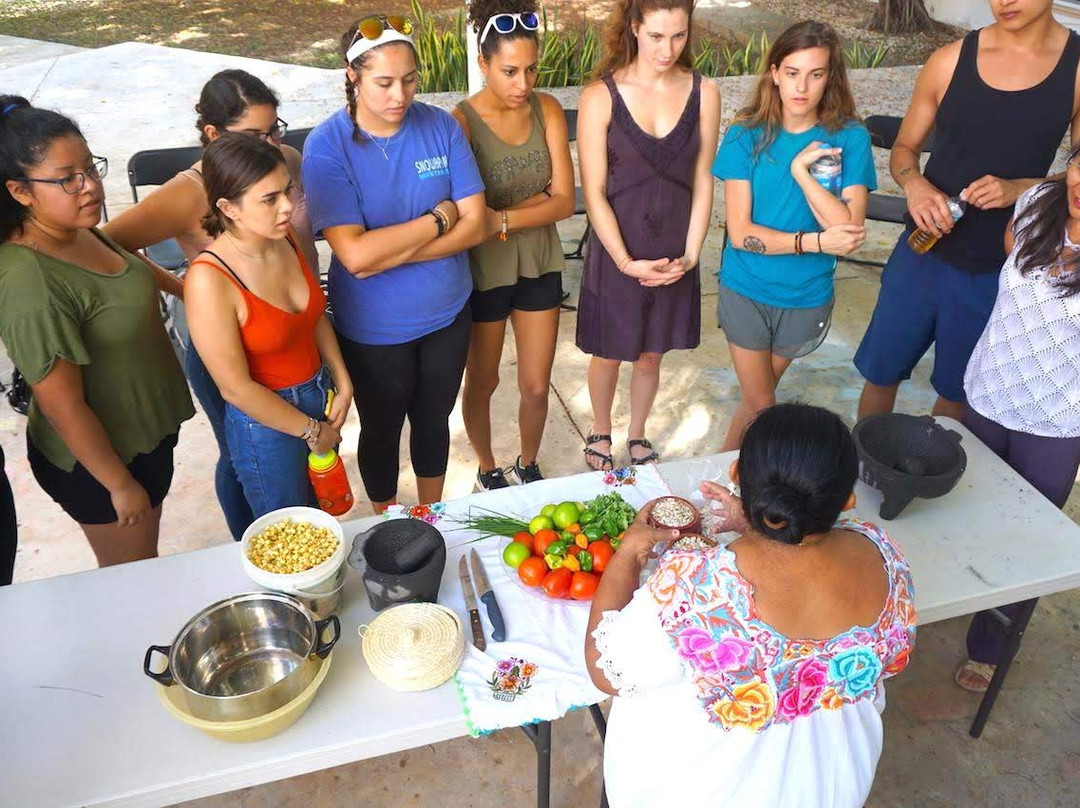 Habla: The Center for Language and Culture-梅里达必去景点