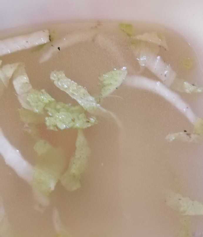 Cabagan旅游攻略图片