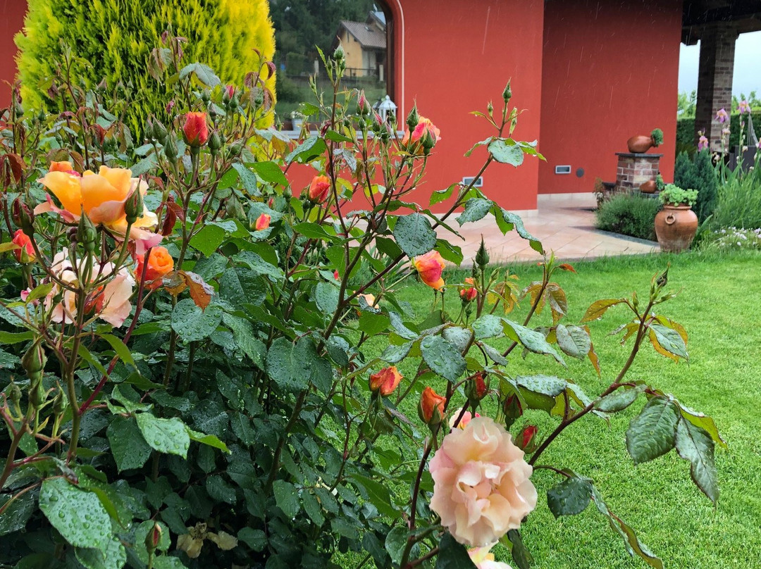 Bed & Breakfast Villa Laura主图