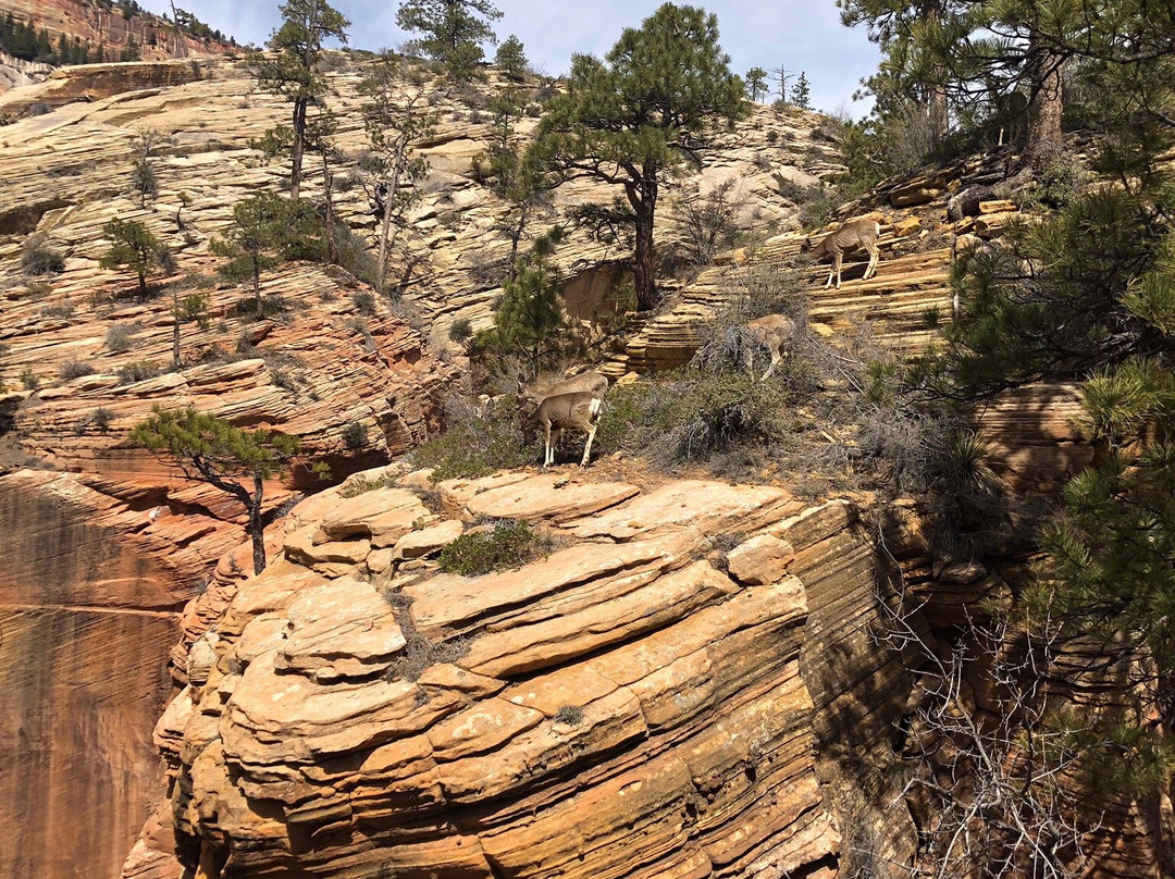 West Rim Trail景点图片