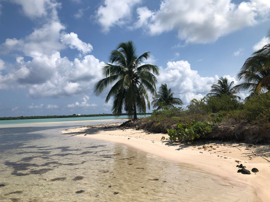 Owen Island-Little Cayman必去景点