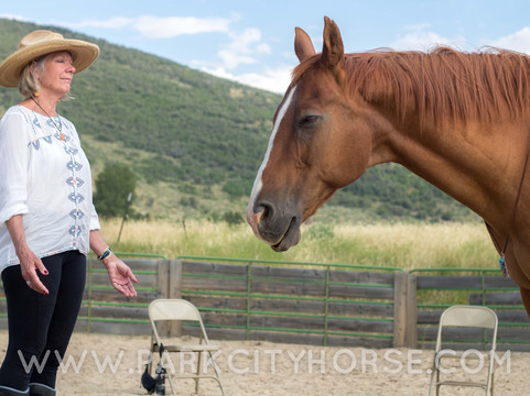 Park City Horse Experience-Kamas必去景点