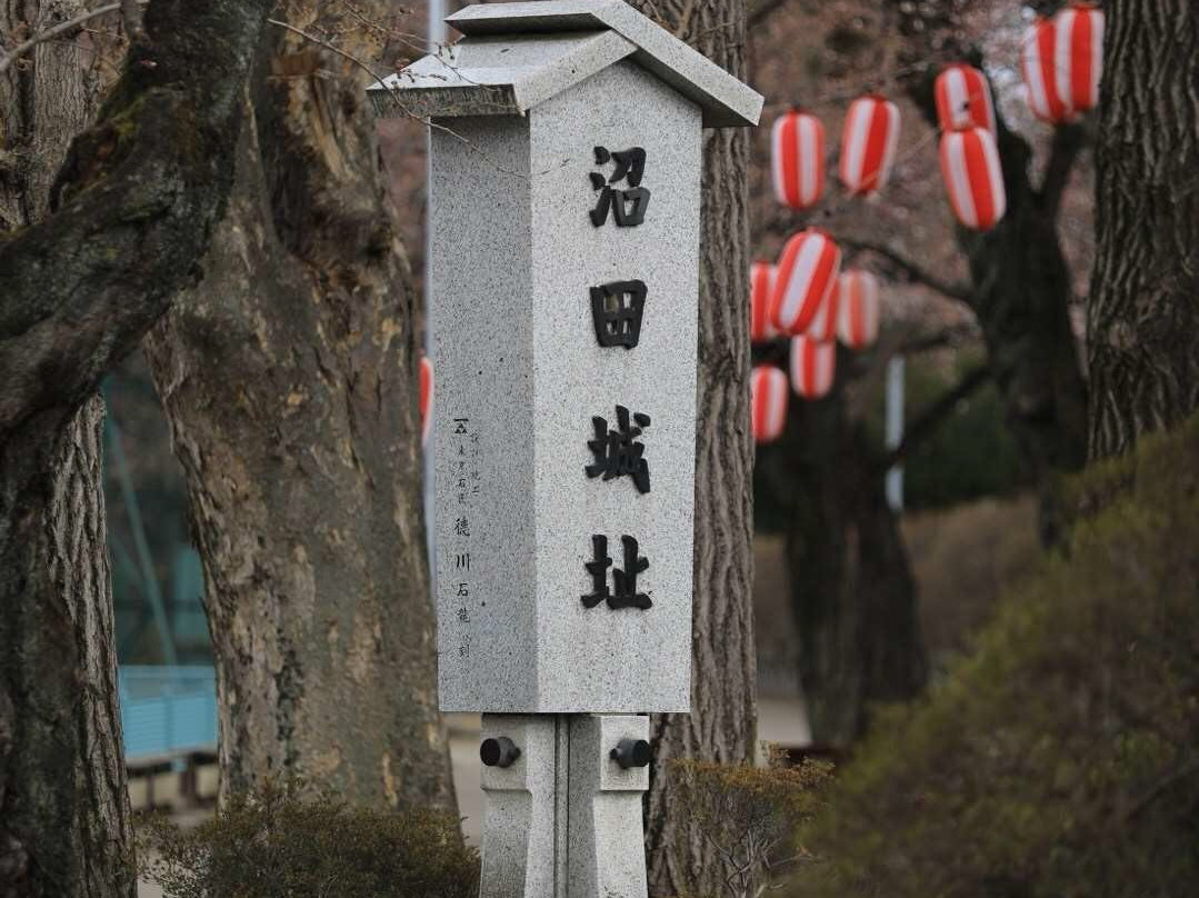 Senbon Cherry Blossom in Akagi Nammen景点图片