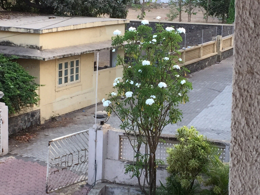 Globe Hotel Udvada主图