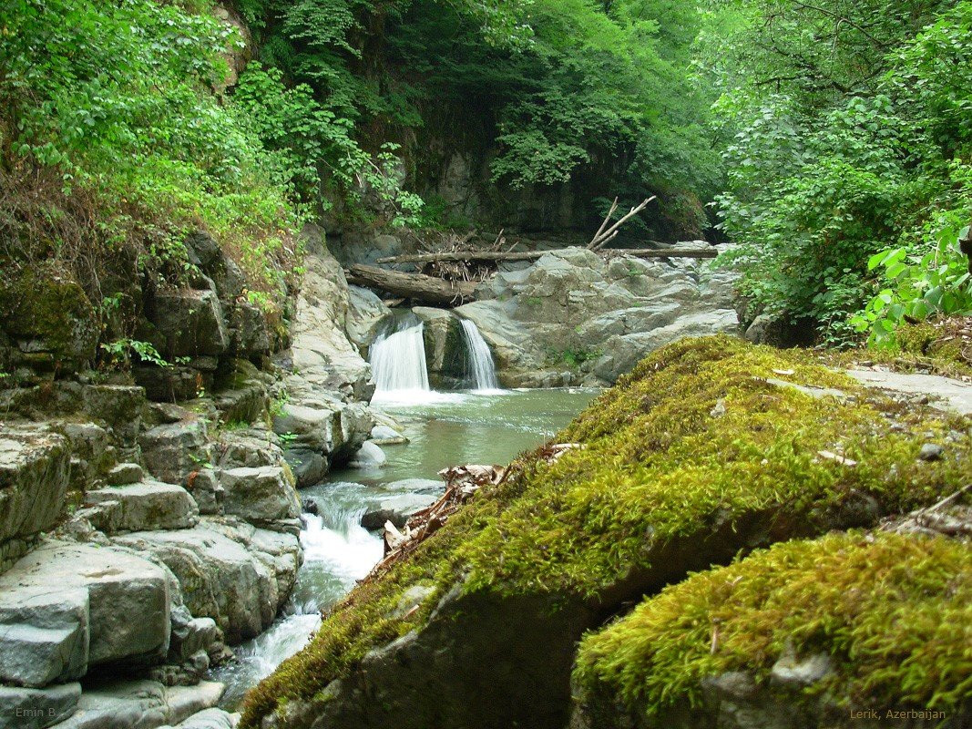 Lankaran Region旅游攻略图片