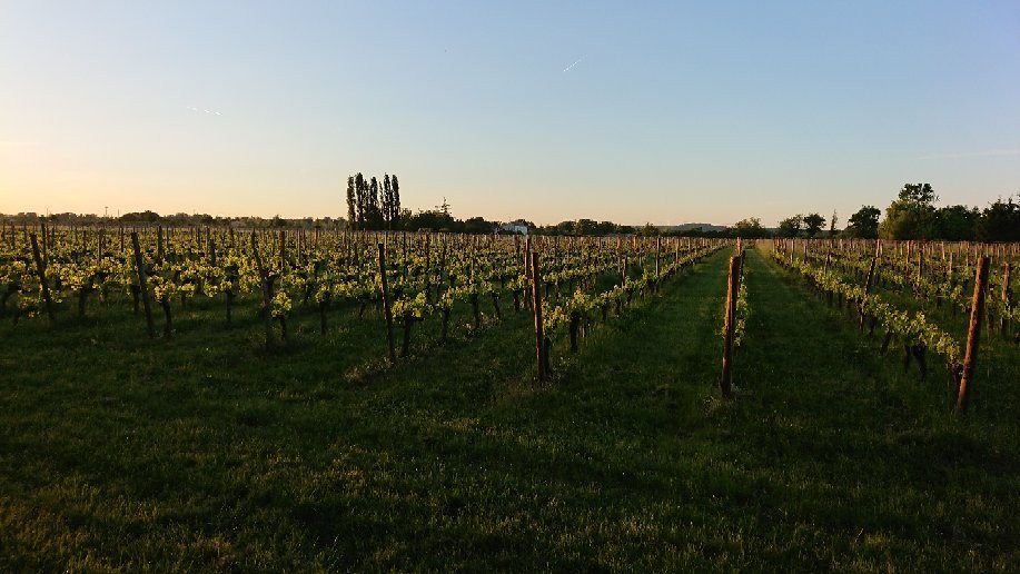 Hotel l'Epicurial主图