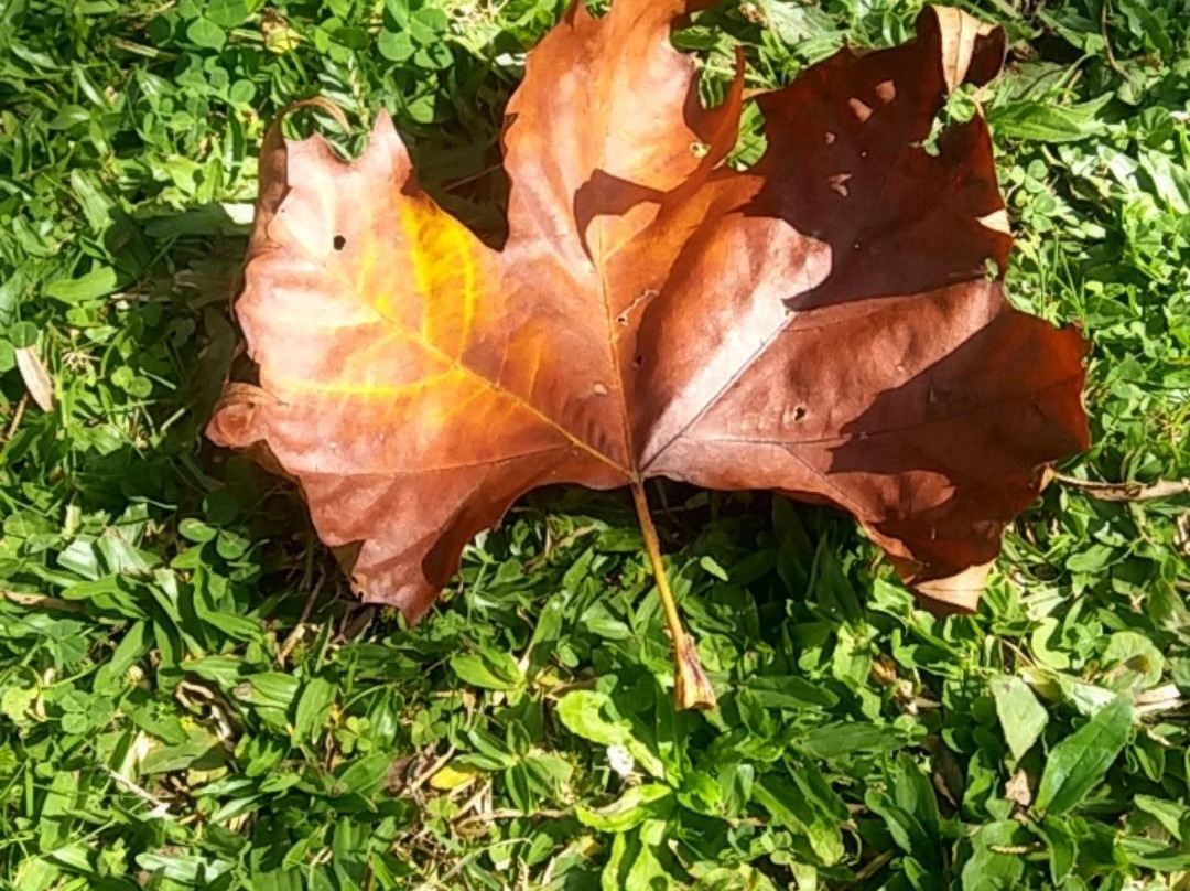 Boa Vista Palace-坎普斯－杜若尔当必去景点