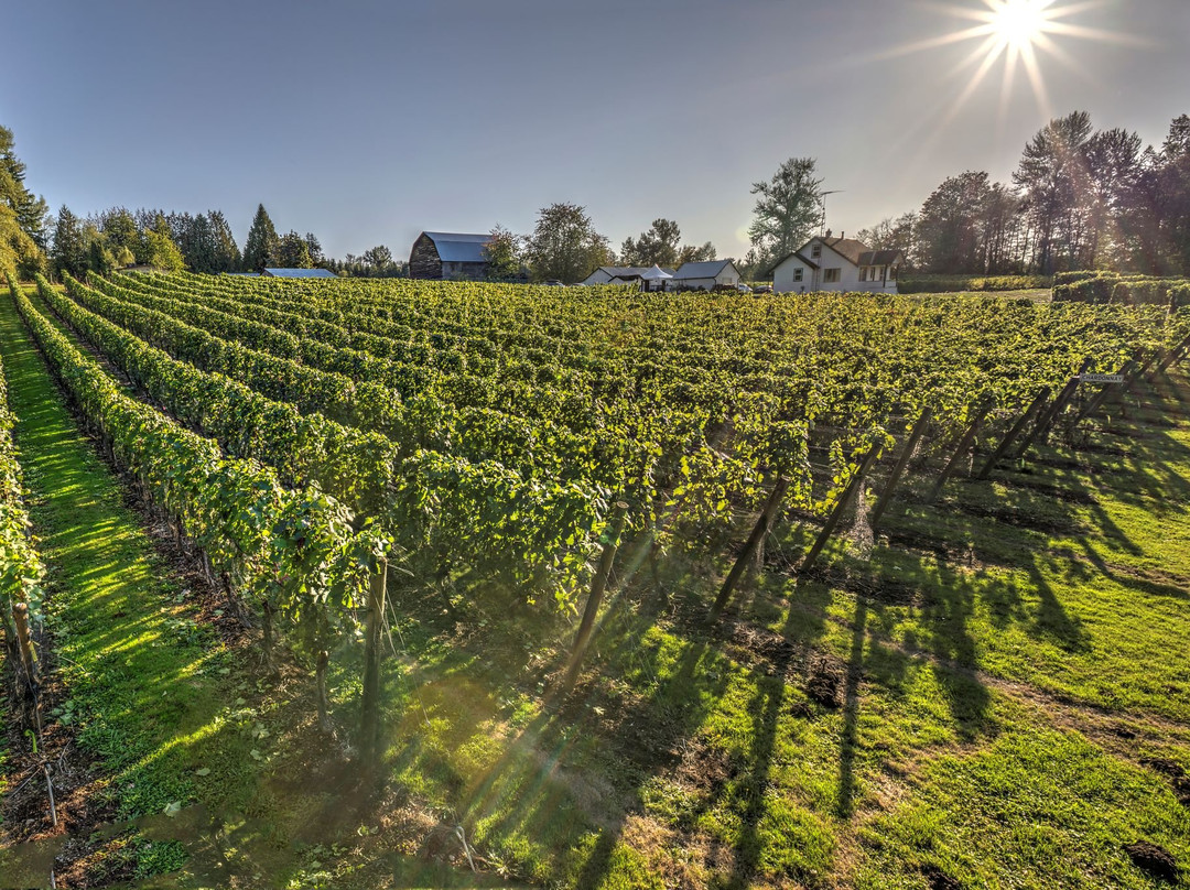 Township 7 Vineyards & Winery (South Langley)-兰里市必去景点