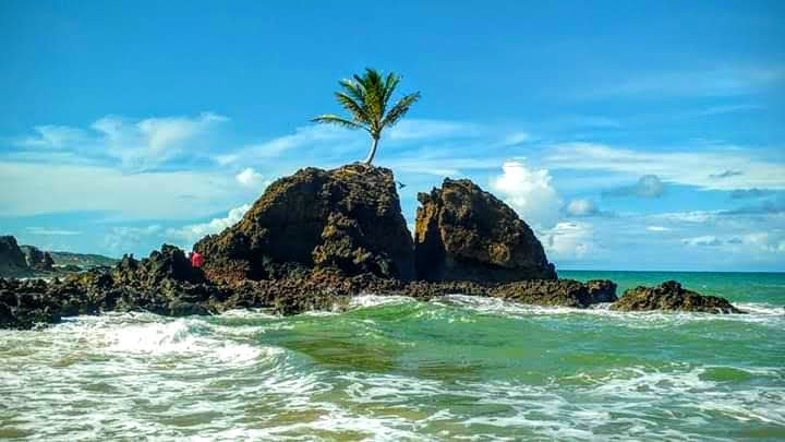 Receptivo Ecoturismo E Cultura-Joao Pessoa必去景点