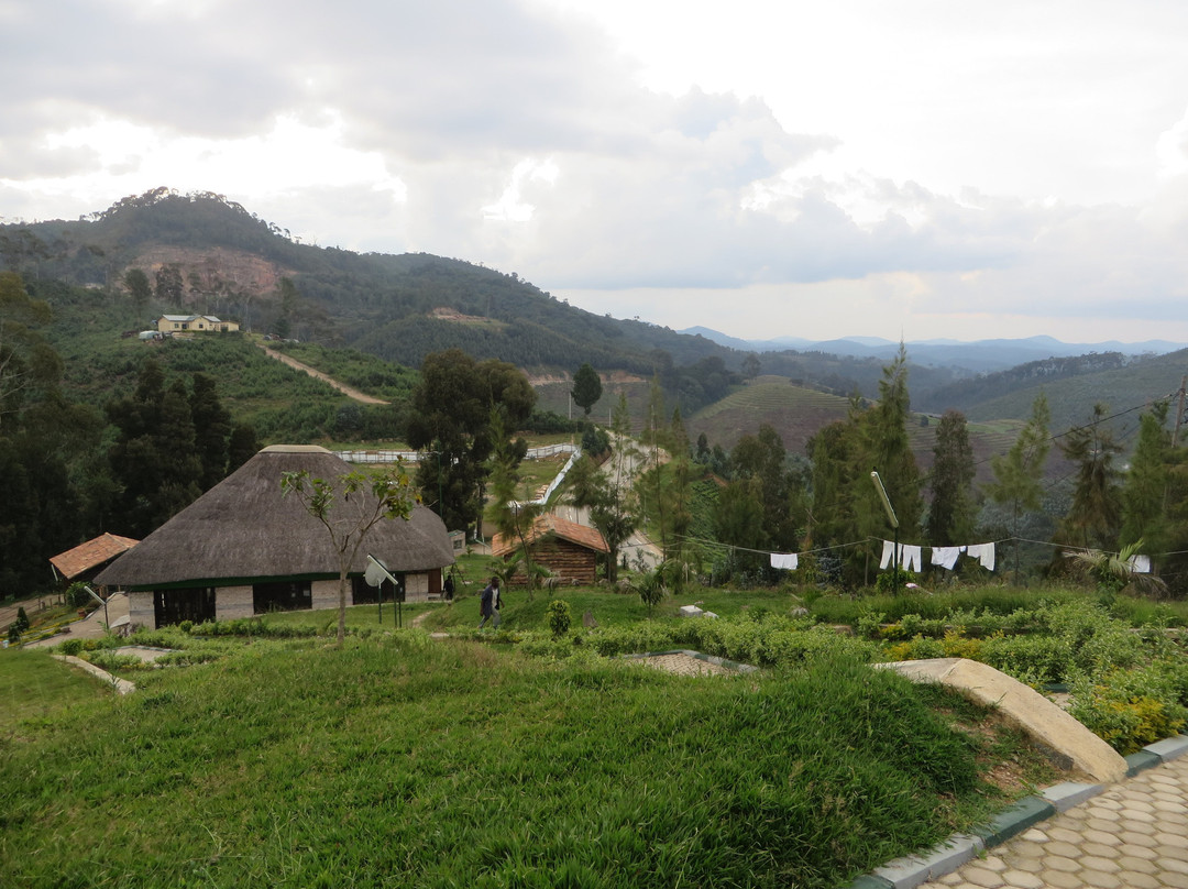 Nyungwe Nziza Ecolodge主图