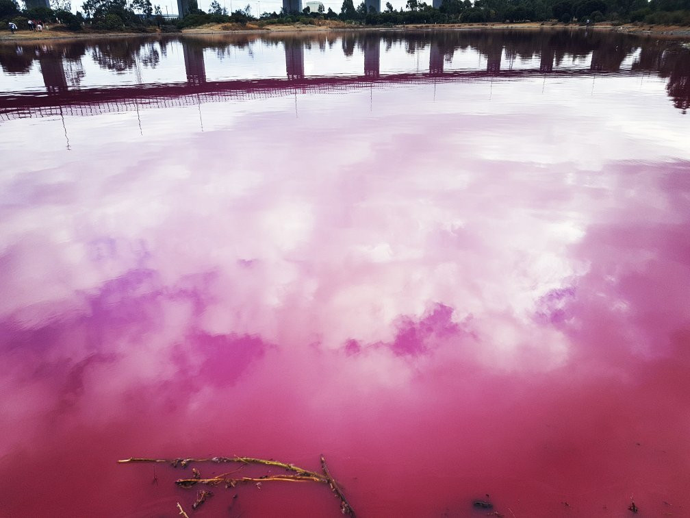 Salt Water Lake-墨尔本必去景点