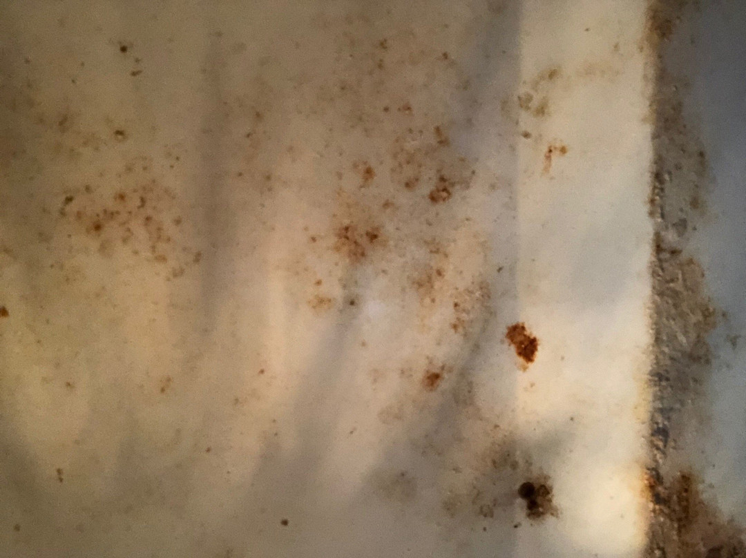 汤豪斯汽车旅馆主图